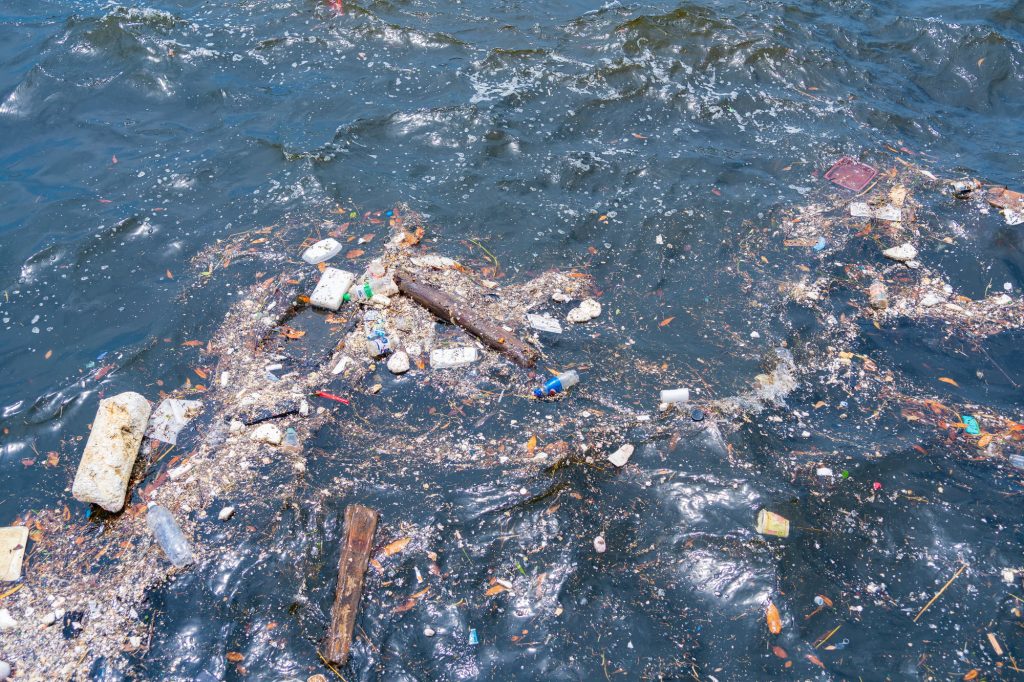 プラスチック汚染とは？