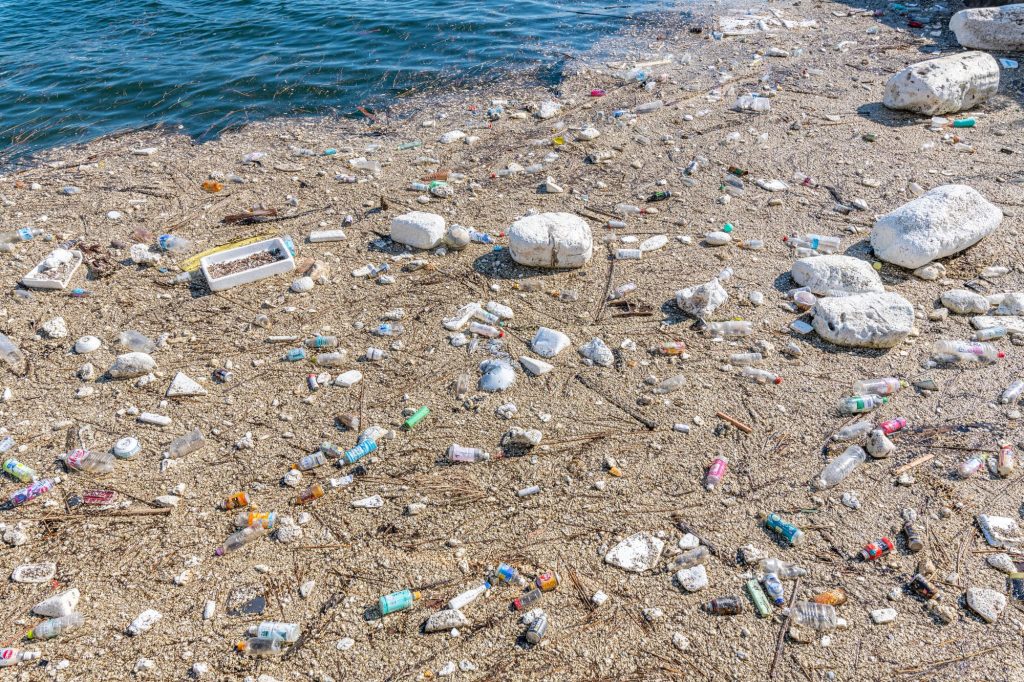 プラスチックフリー