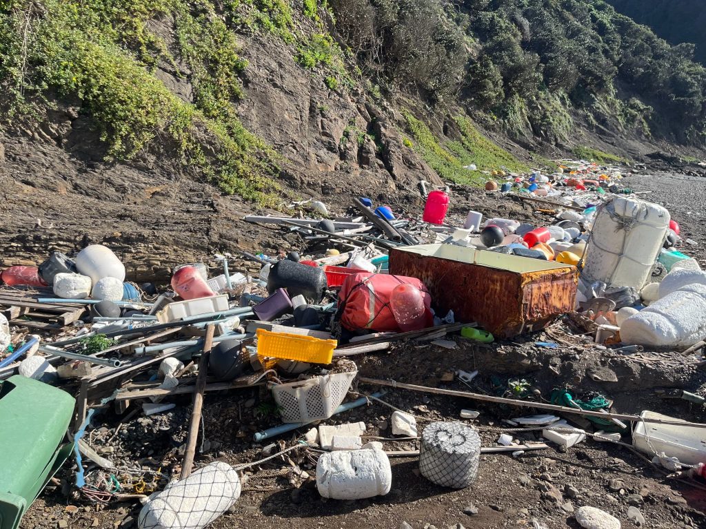 対馬（画像全て）