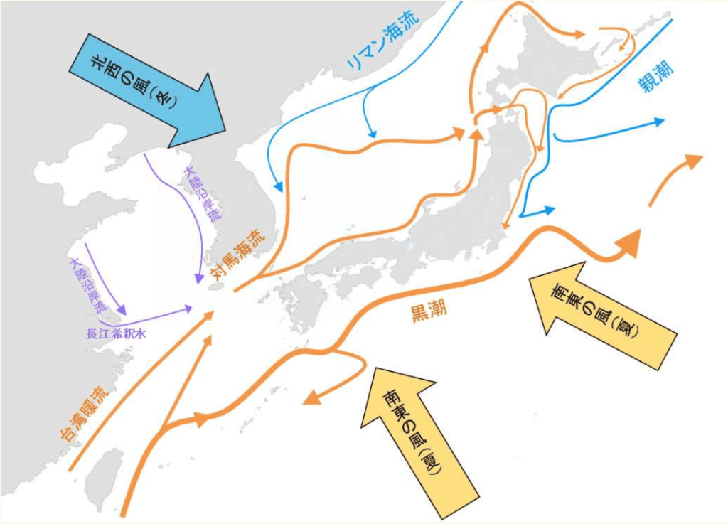 対馬（画像全て）