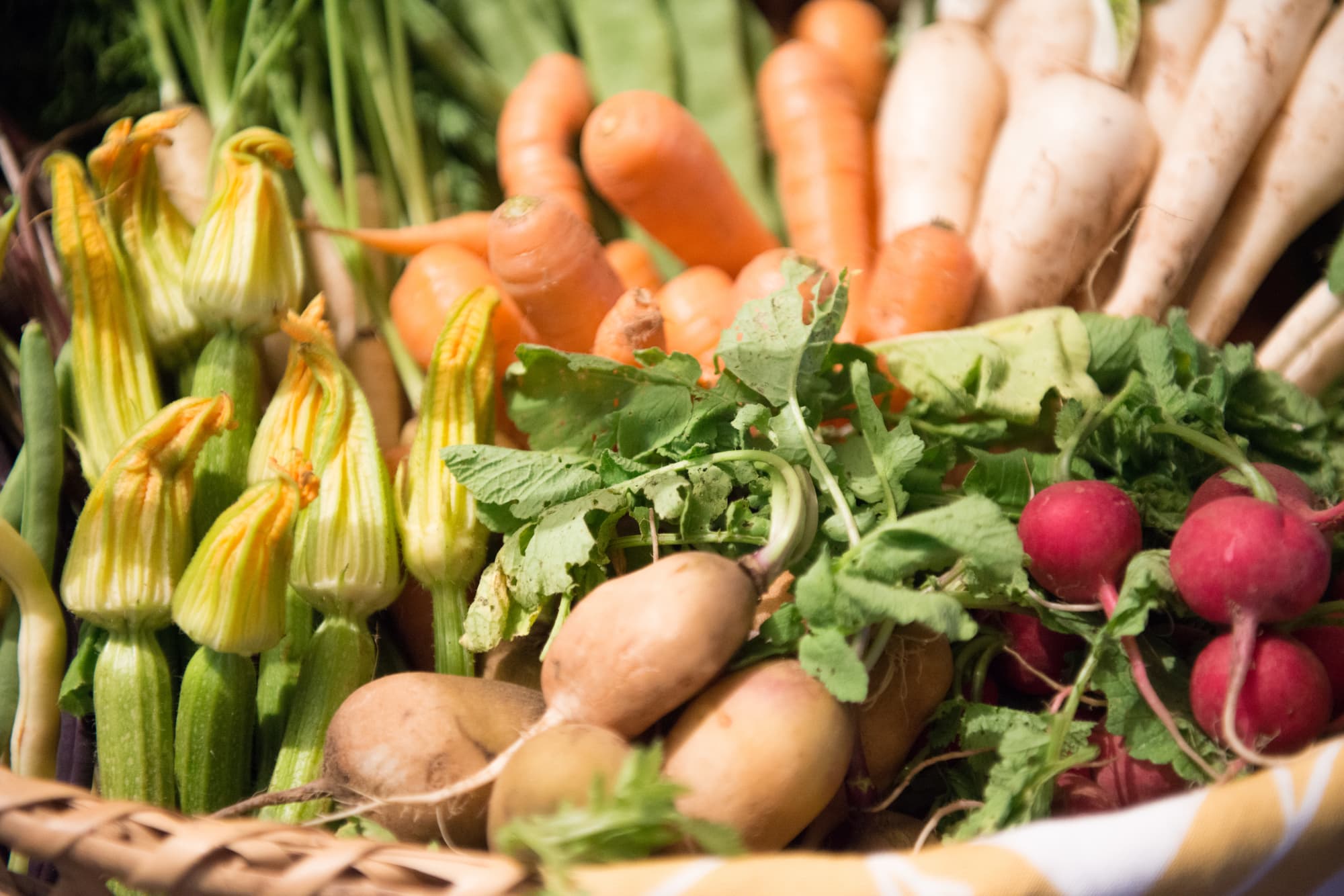 有機JASマークとは？買う前に知りたいカテゴリーと認証基準、お店での見つけ方