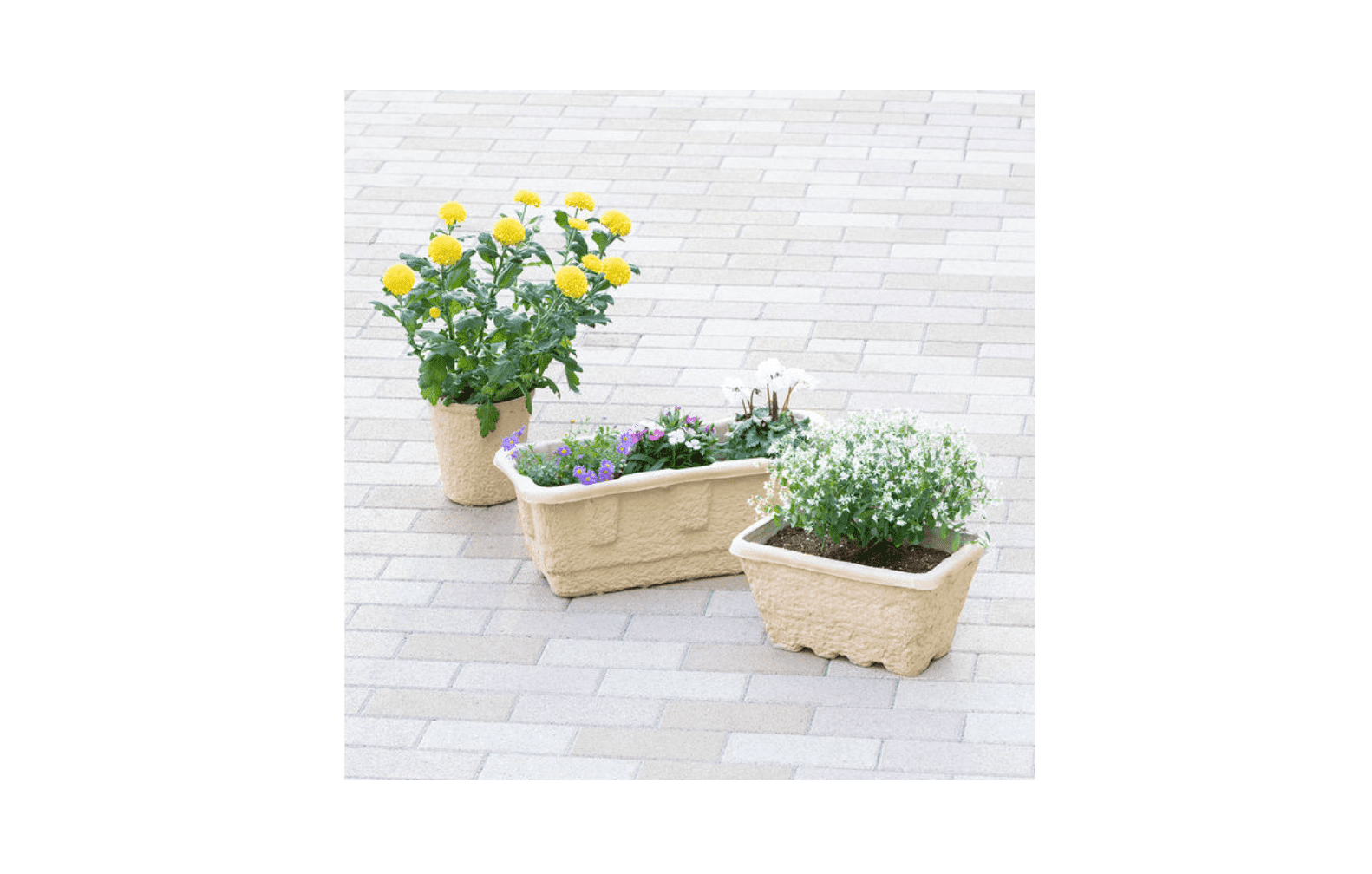 アスクルのあのカタログが植木鉢に？エシカルに園芸が始められる「Flowerpot」について、開発者に聞きました