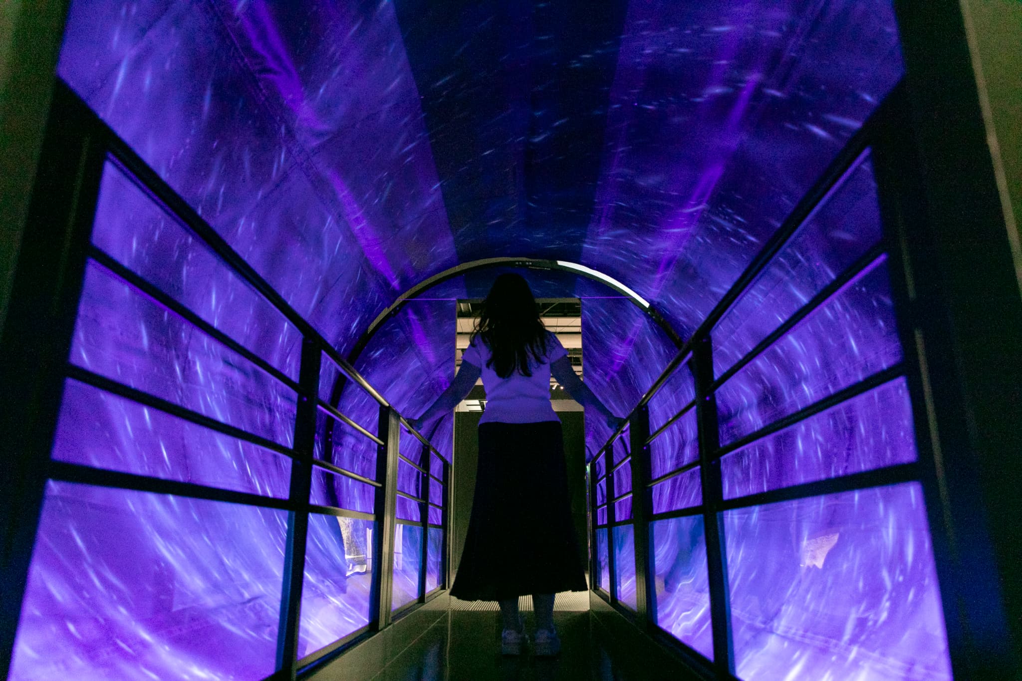 大南極展