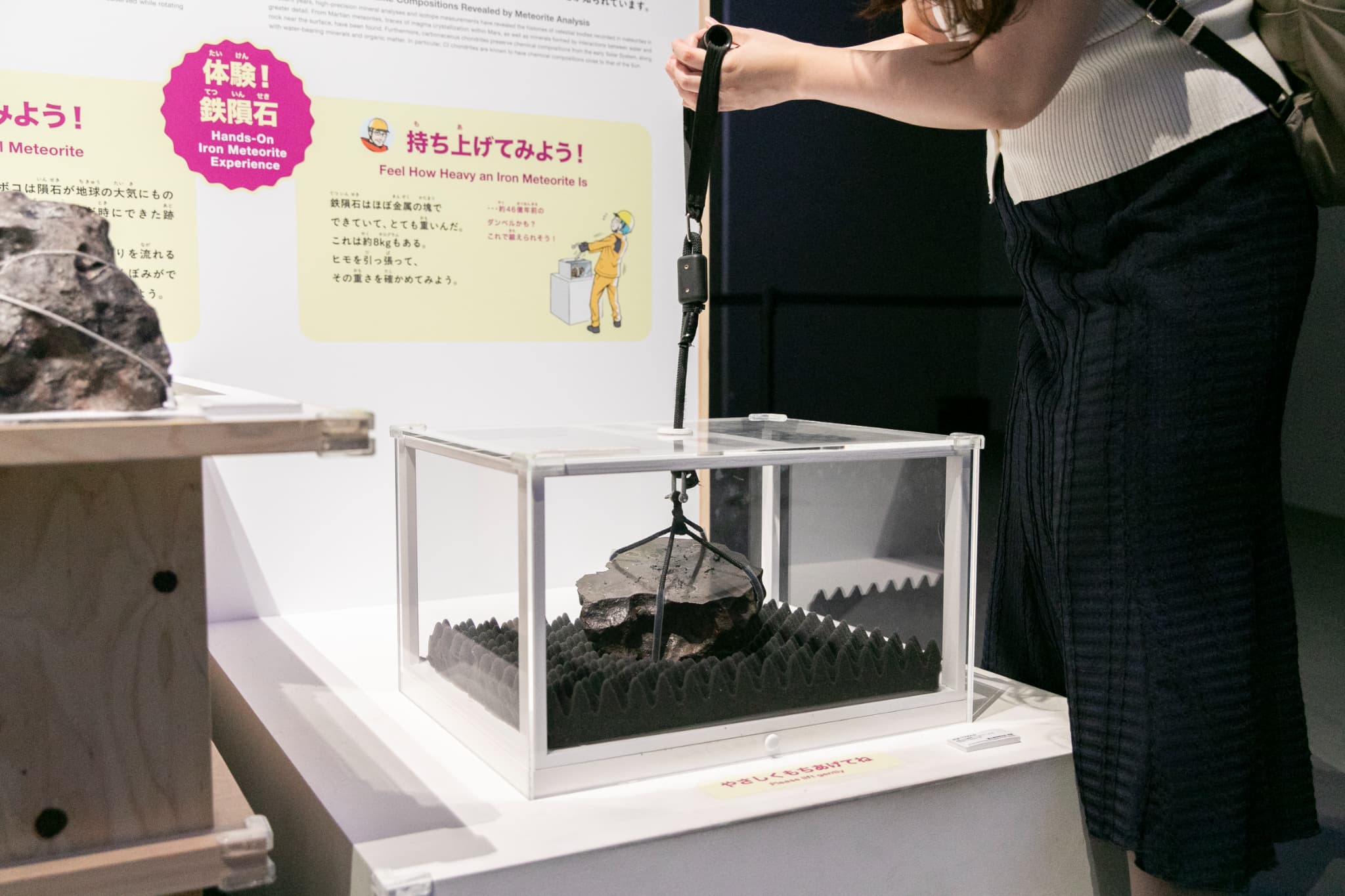 大南極展