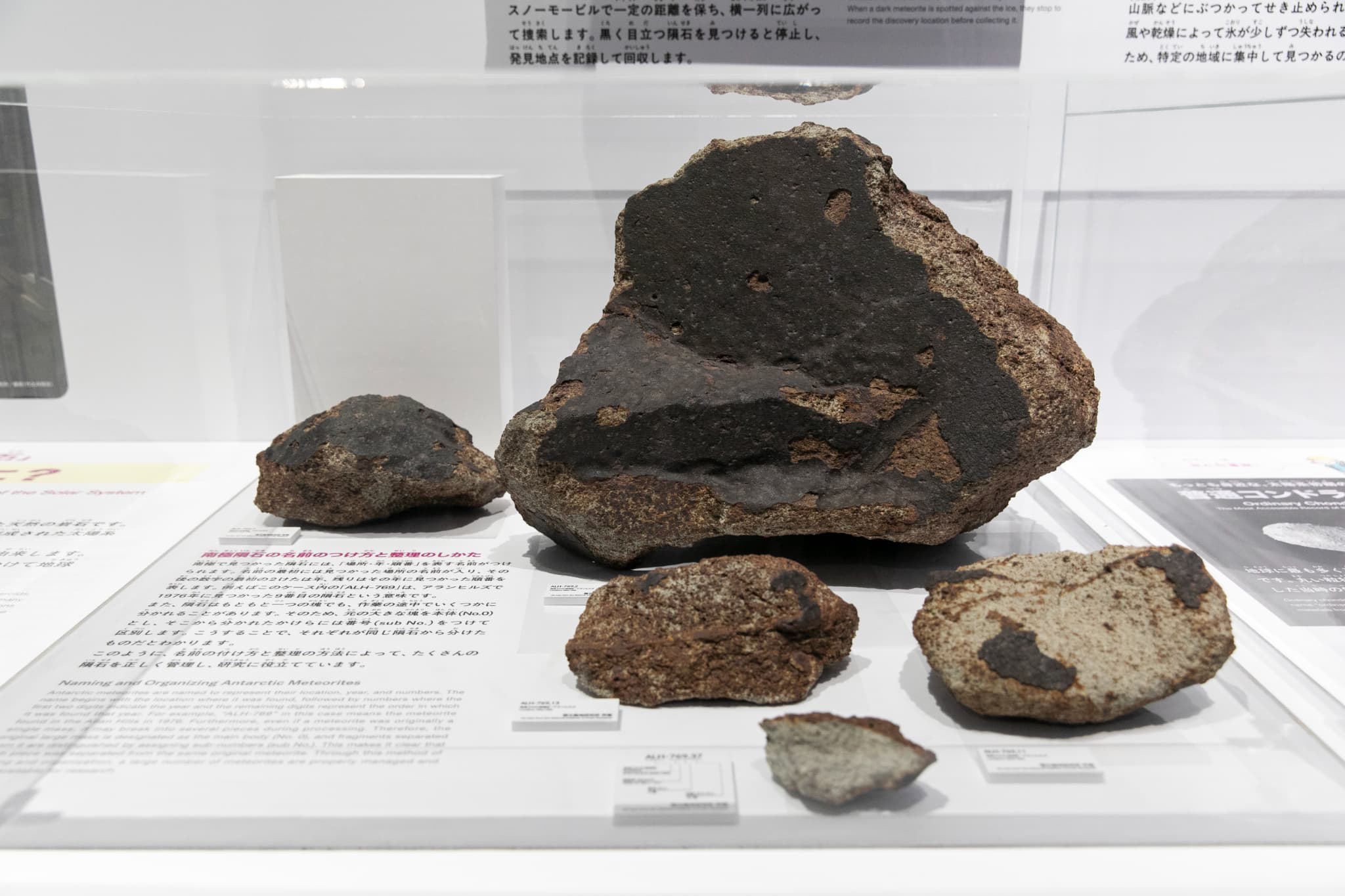 大南極展