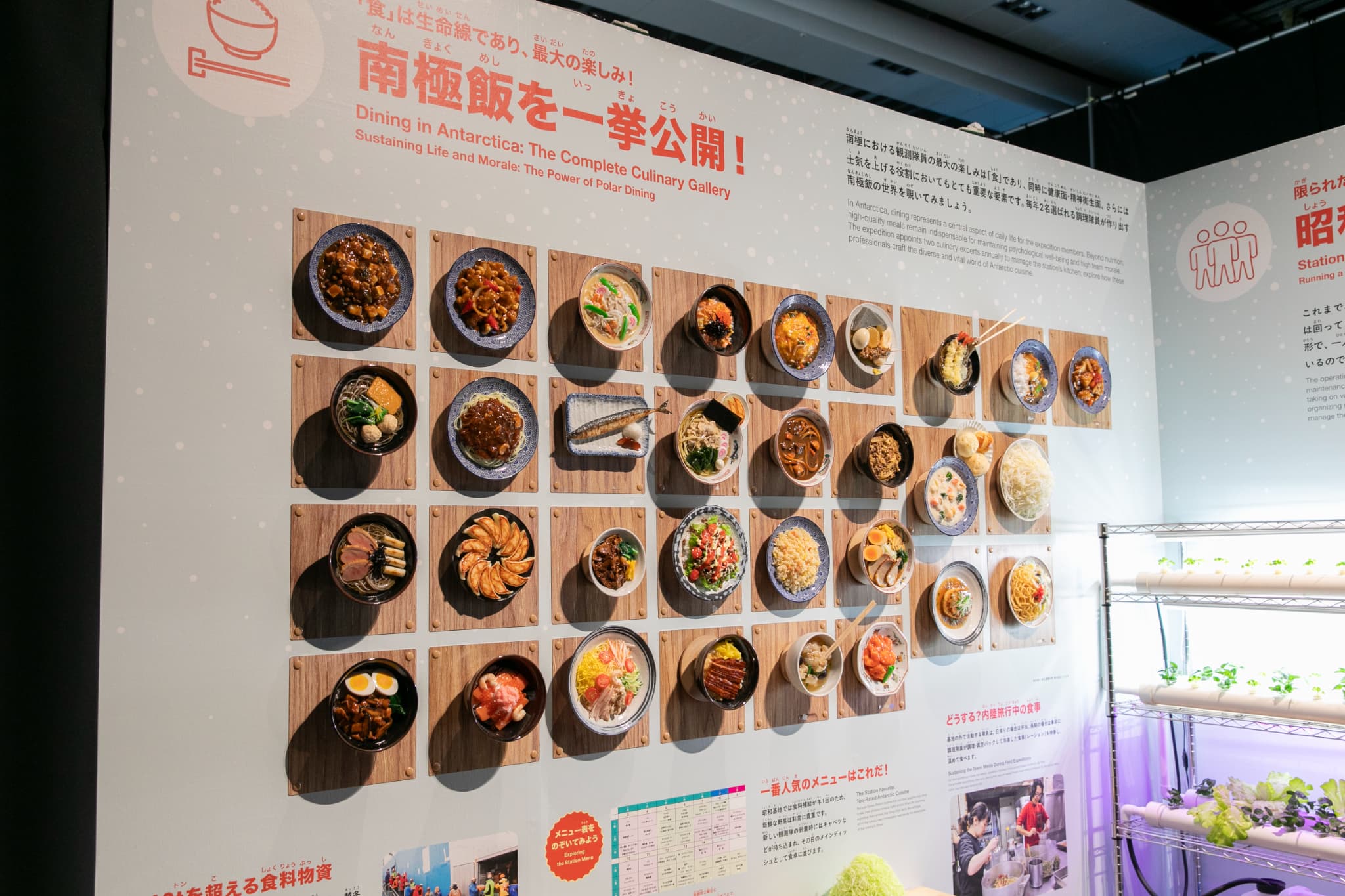 大南極展
