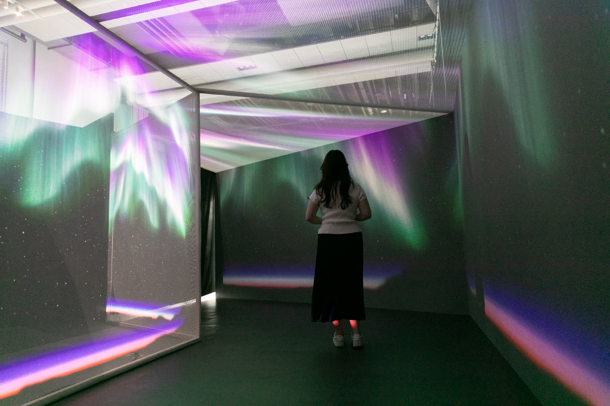 大南極展